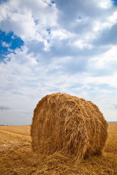风景与捆捆的稻草 — 图库照片