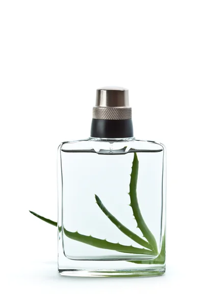 Aloe och flaska med parfym — Stockfoto