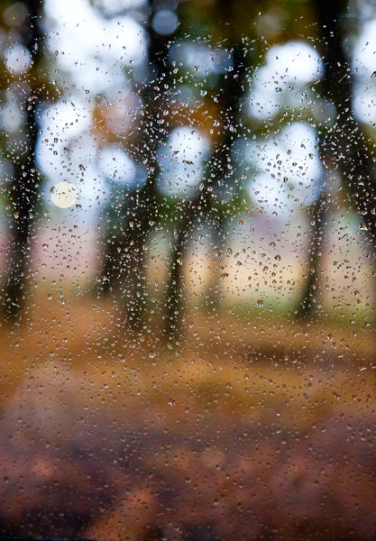 Gotas de lluvia en ventana —  Fotos de Stock