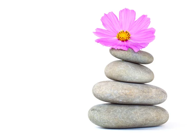Pink flower on top of a stack of pebbles — Stock Photo, Image