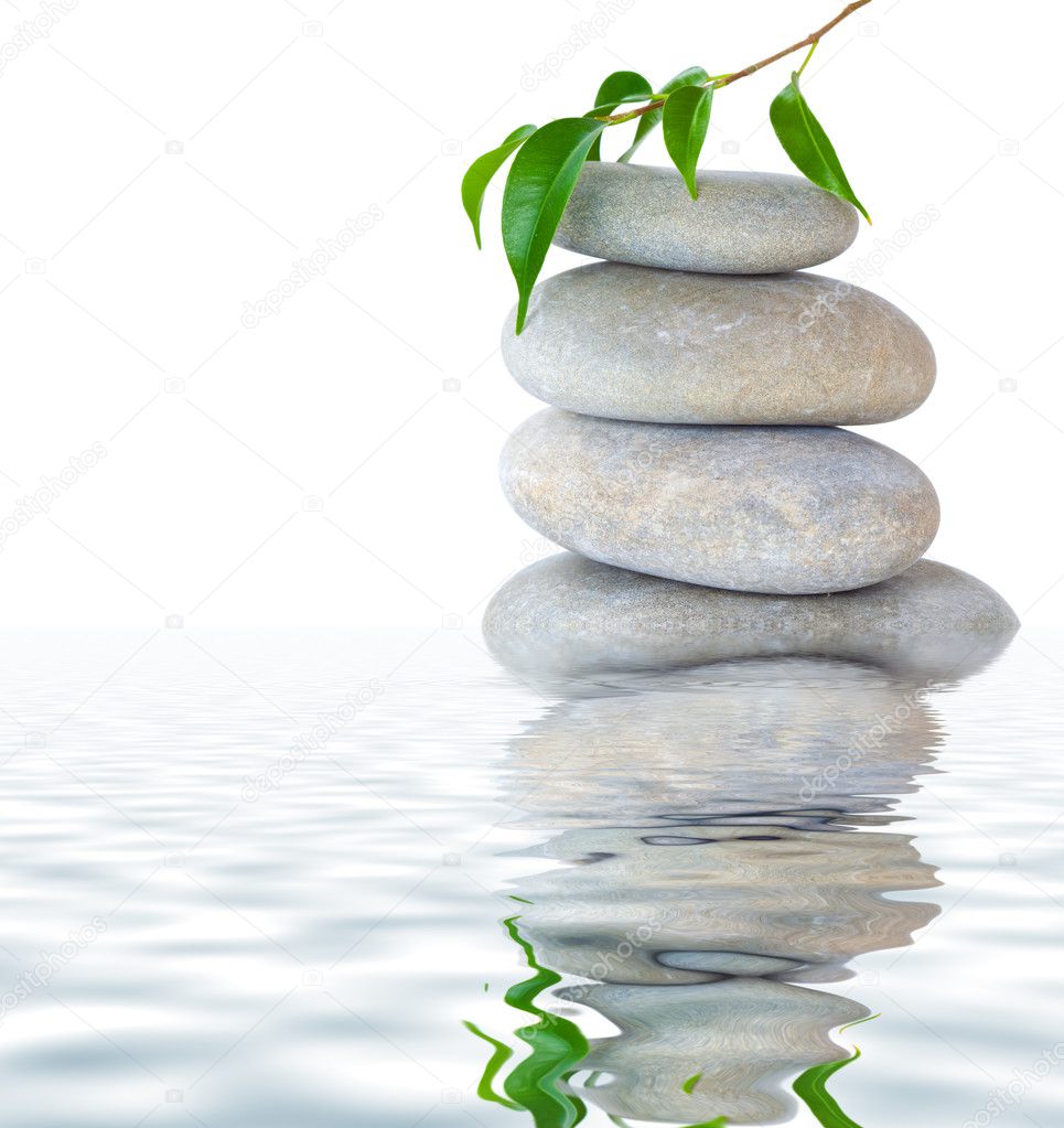 Plant on top of pebbles