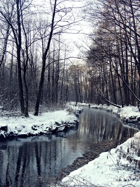 L'hiver. rivière — Photo