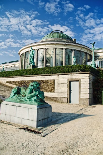Botaniska trädgården i Bryssel — Stockfoto
