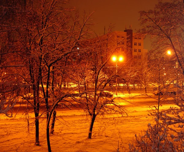 Noite neve — Fotografia de Stock