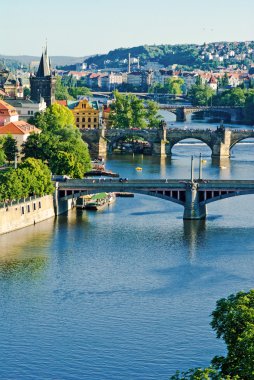 Prague`s briges clipart