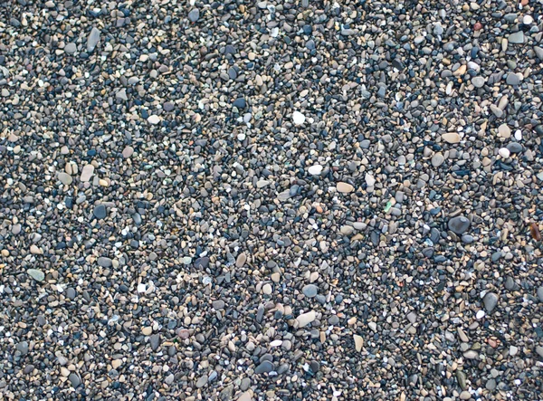 Peeble taşlar — Stok fotoğraf