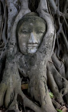 Ancient buddha head clipart