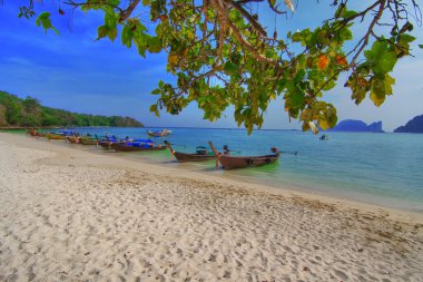 Longtailboats at the beach clipart