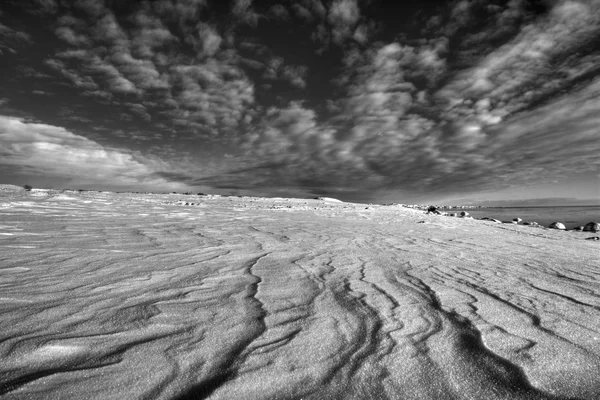바다 옆의 겨울 — 스톡 사진