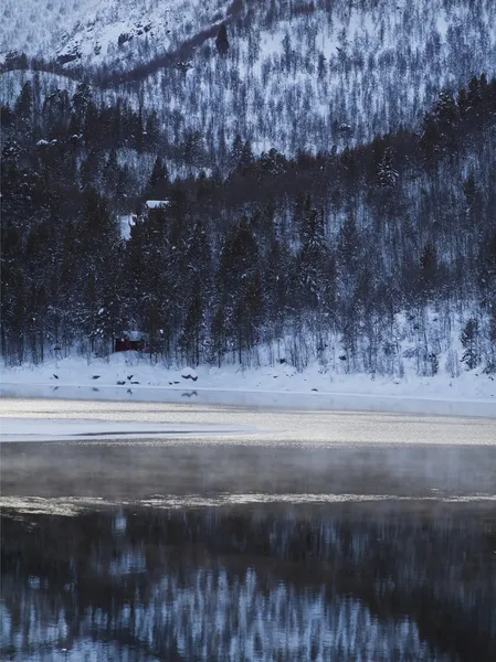 안개 낀 호수 — 스톡 사진