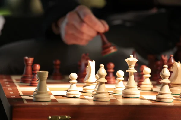 Playing chess — Stock Photo, Image