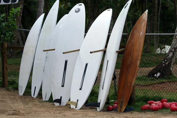 Surfovací prkna — Stock fotografie