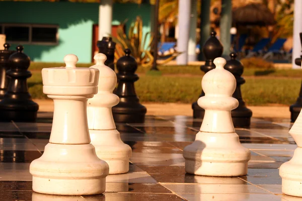 Chess game outdoor — Stock Photo, Image