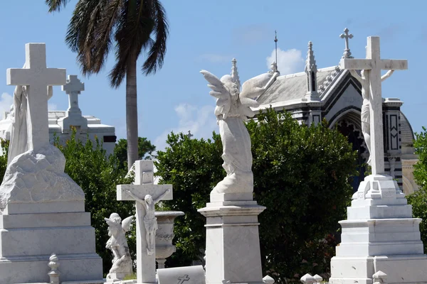 Кладбище в Карибском море — стоковое фото