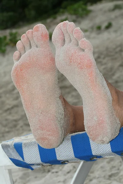 Kumda ayak — Stok fotoğraf