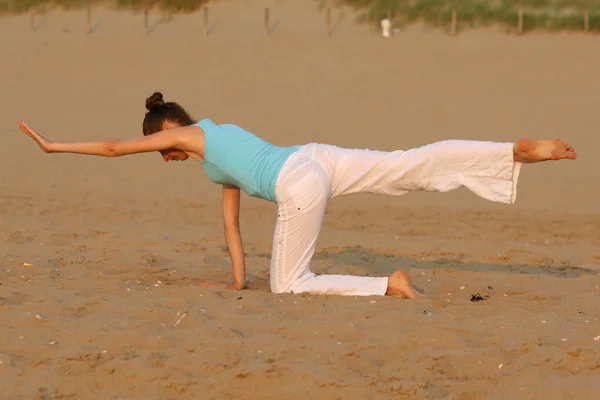 Yoga utbildning — Stockfoto