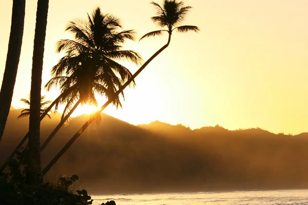 カリブ海の美しい夕日 — ストック写真