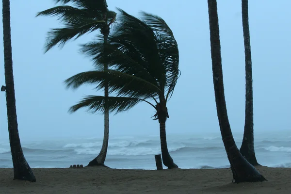 嵐によってビーチ — ストック写真