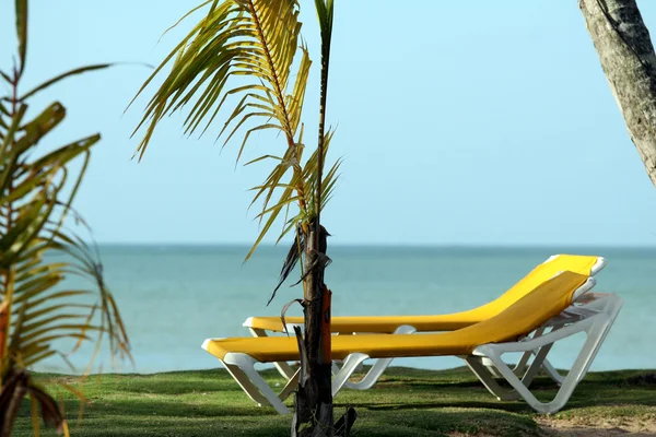 Кресло на пляже — стоковое фото