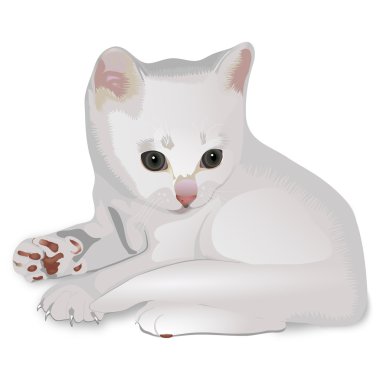 Kitten clipart