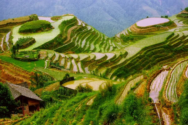 Terrazze di riso nel montaggio dello Yunnan , Immagini Stock Royalty Free