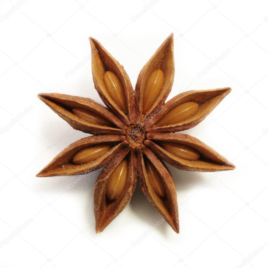 Perfect, symmetric anise star isolated