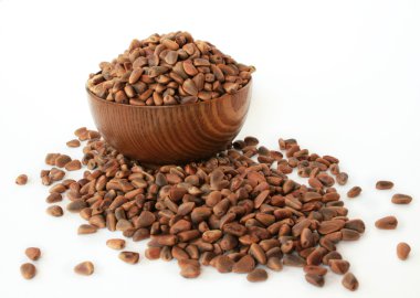 Siberian pine nuts clipart