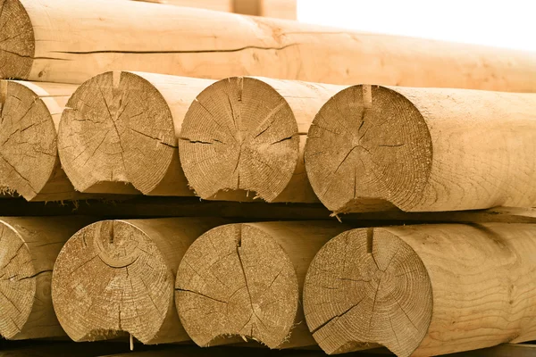Круглая древесина — стоковое фото