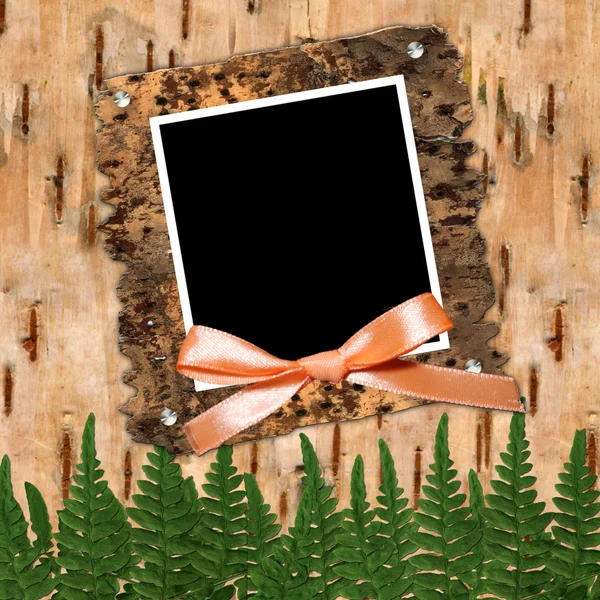 Frame with bow to birchen bark — Stock Photo, Image