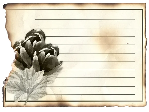 Blank post card for condolence — Stock Photo, Image