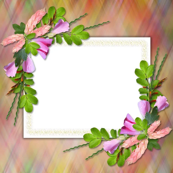 问候语的鲜花盛放的框架 — 图库照片