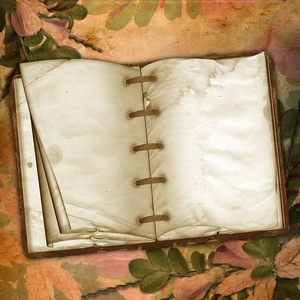 El viejo libro — Foto de Stock