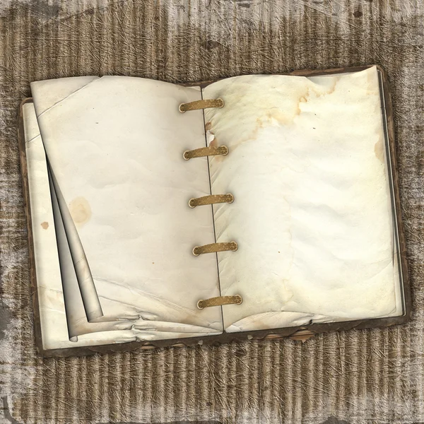 El viejo libro — Foto de Stock