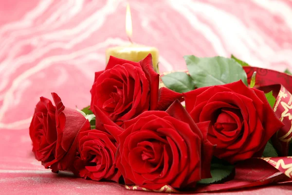 Scarlet roses — Stock Photo, Image