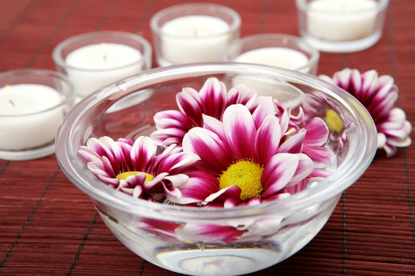 Flowers in a cup — Stock Photo, Image