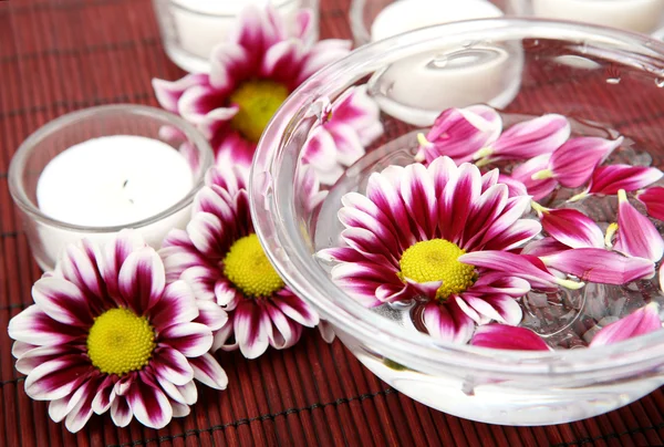 Цветы в чашке Стоковое Фото