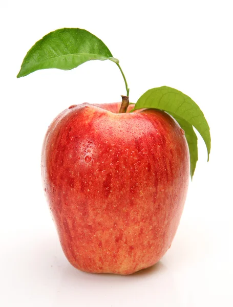 Omena valkoisella pohjalla — kuvapankkivalokuva