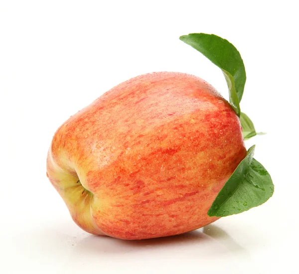 Omena valkoisella pohjalla — kuvapankkivalokuva