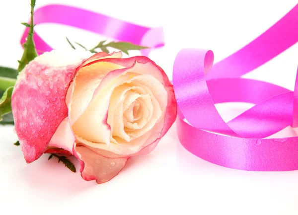 Rose and pink tape — Stock Photo, Image