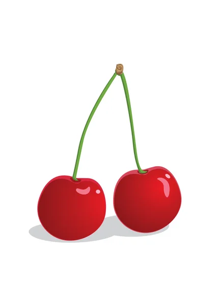 Two cherry — Stock Vector