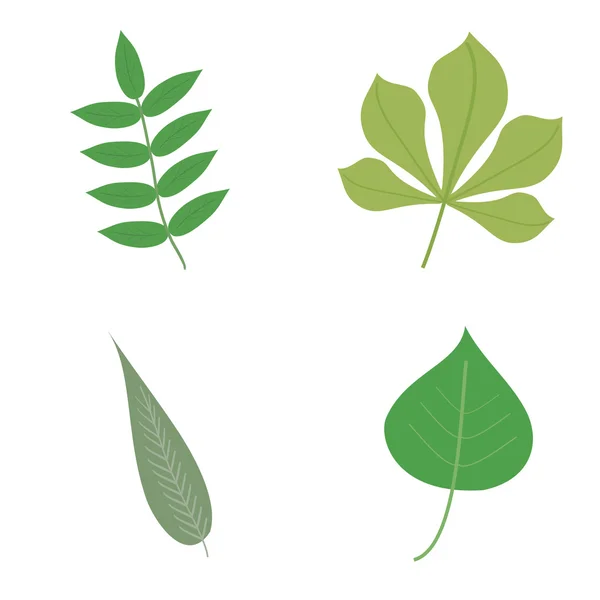 Set con hojas — Vector de stock