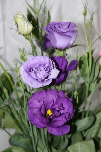 Ramo de flores gentiles —  Fotos de Stock