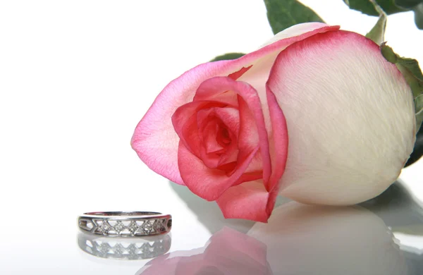 Gentile rosa e anel de casamento — Fotografia de Stock