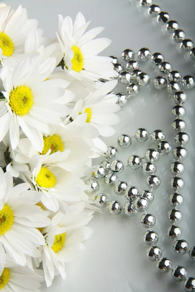 Bouquet daisywheel — Stock Photo, Image