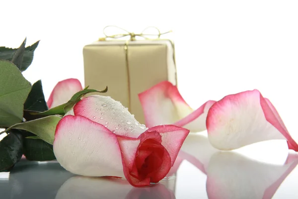 Троянда і золота коробка — стокове фото