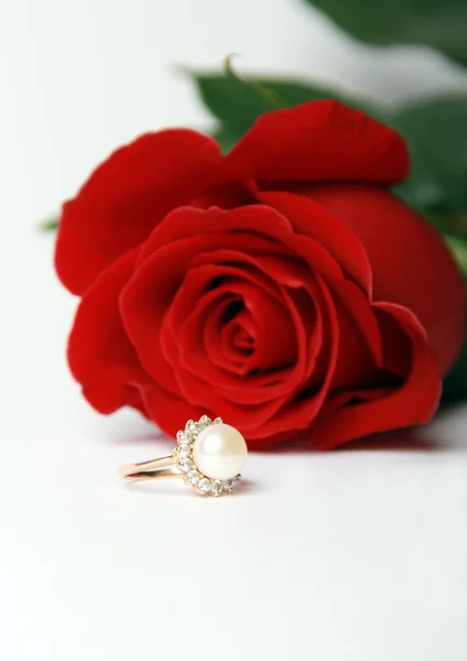 Pierścionek z perłą i czerwona róża — Zdjęcie stockowe
