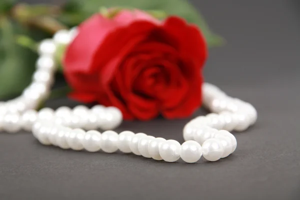 赤いバラと真珠のネックレス — ストック写真