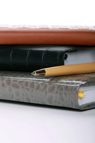 Pen en diarybooks — Stockfoto