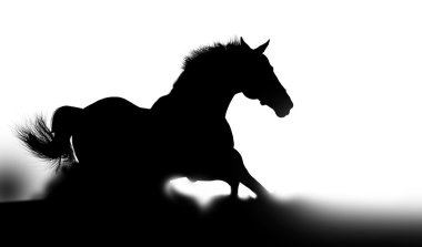 Stallion silhouette in dust clipart