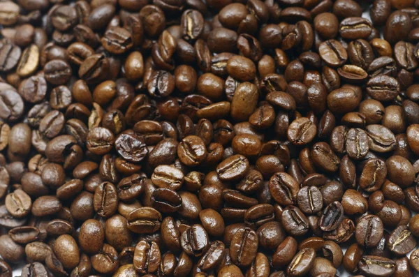 stock image Coffee beans